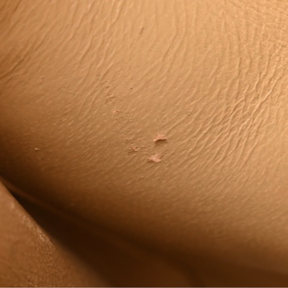 Chanel Diana Small Single Flap Beige Quilted Calf Leather Gold Plated Chain Bag - Picture 11 of 14